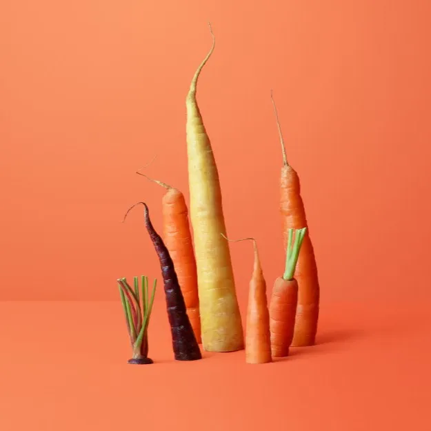 carrot